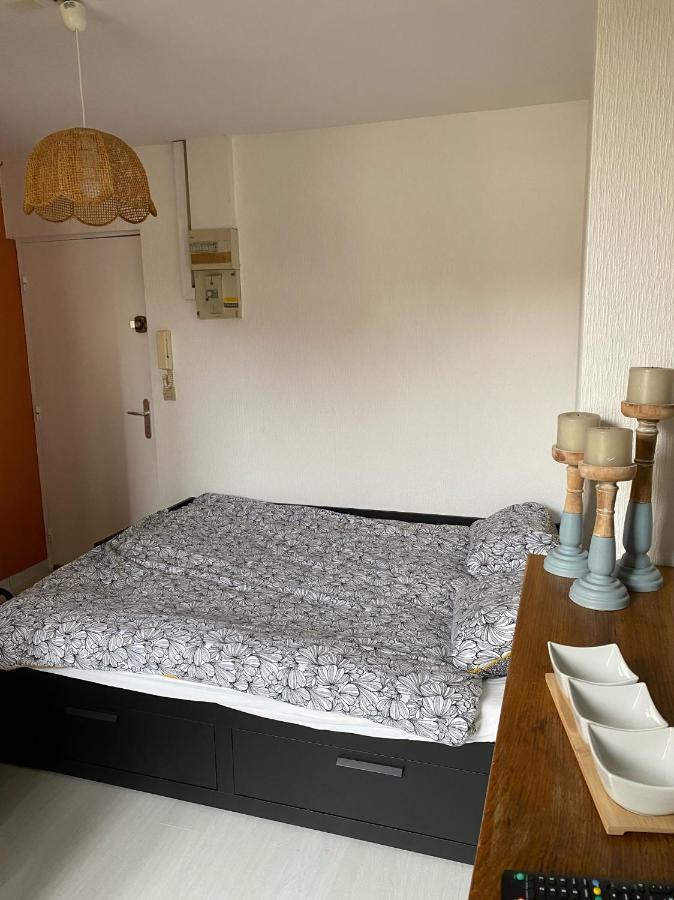 Le Nid - Studio Place Emile Zola / Parking Gratuit Dijon Exterior foto