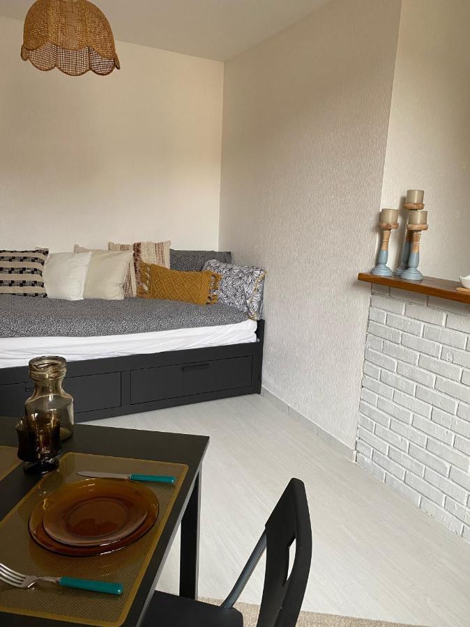 Le Nid - Studio Place Emile Zola / Parking Gratuit Dijon Exterior foto